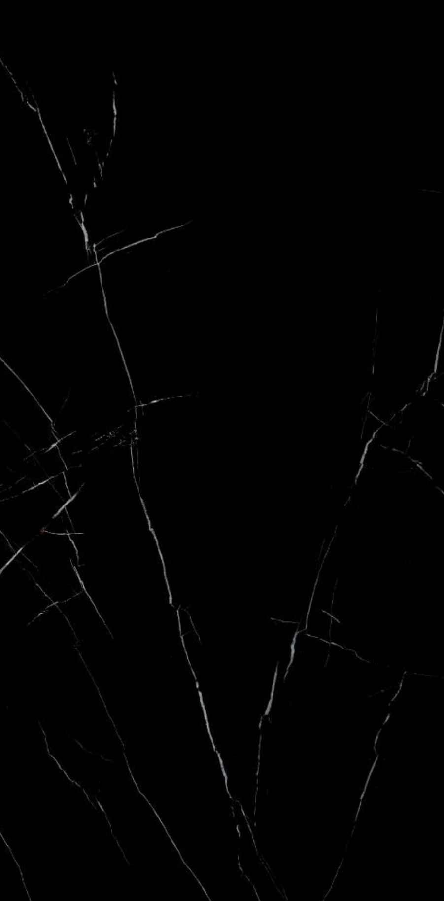 DELIGHT MARQUINA